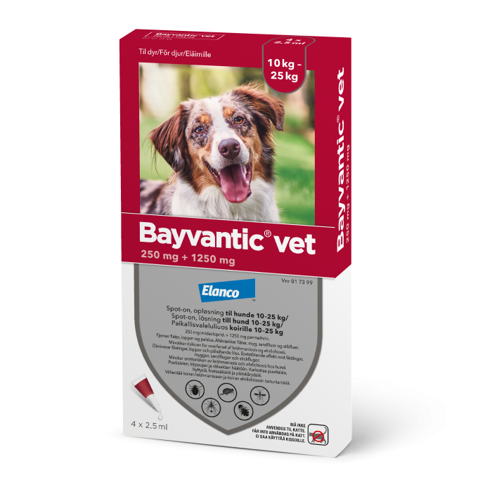 BAYVANTIC VET paikallisvaleluliuos 250/1250 mg koirille 10–25 kg 4 x 2.5 ml